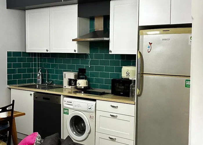 公寓 Taksim Flat 2 伊斯坦布尔